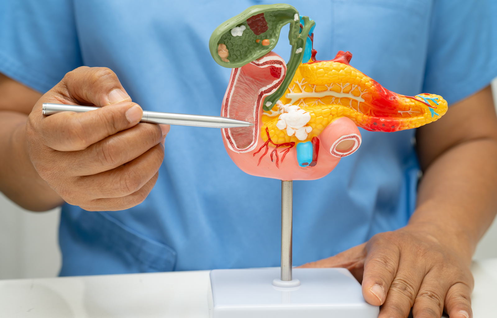 Pancreatic Surgery 